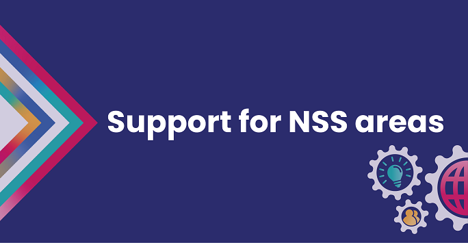 Support for NSS Areas