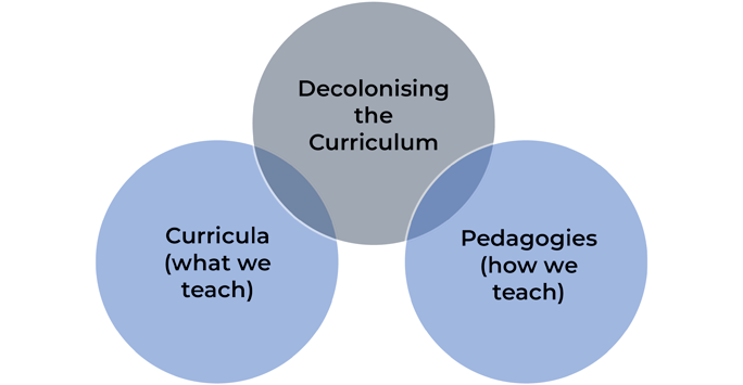 Decolonising the Curriculum Diagram