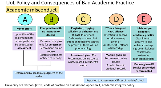 Academic Misconduct Diagram