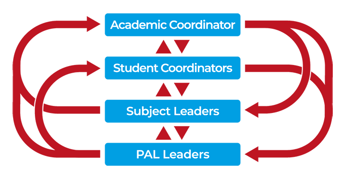 Peer Assisted Learning Diagram