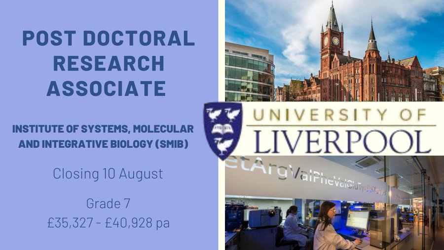 Post Doc