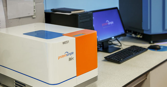 An image of protein sample equipment at the Centre for Proteome Research