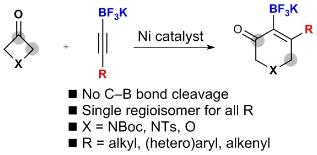 Regioselective cycloaddition of potassium alkynyltrifluoroborates with 3-azetidinones and 3-oxetanone by nickel-catalysed C–C bond activation