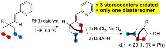 Diastereoselective Carbocyclization of 1,6-Heptadienes Triggered by Rhodium-Catalyzed Activation of an Olefinic C–H Bond