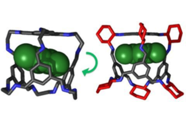 Two distinct types of molecules are illustrated, showcasing their unique structures and characteristics.