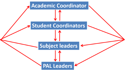 PAL Structure infographic