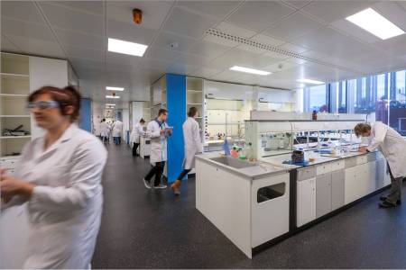 Inside the synthetic chemistry laboratory