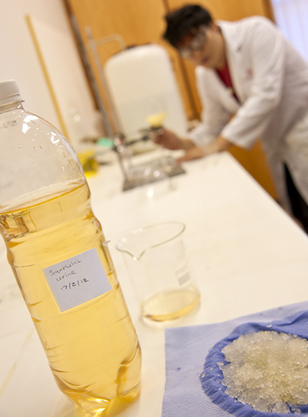 Schools projects developing absorbants by using synthetic urine
