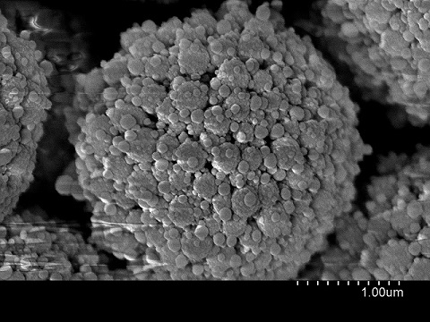 Monodisperse “fractal” sphere-on-sphere (SOS) silica particles prepared in a one-pot reaction, for use in HPLC separation of large molecules