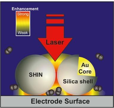 image SHINERS electrode surface