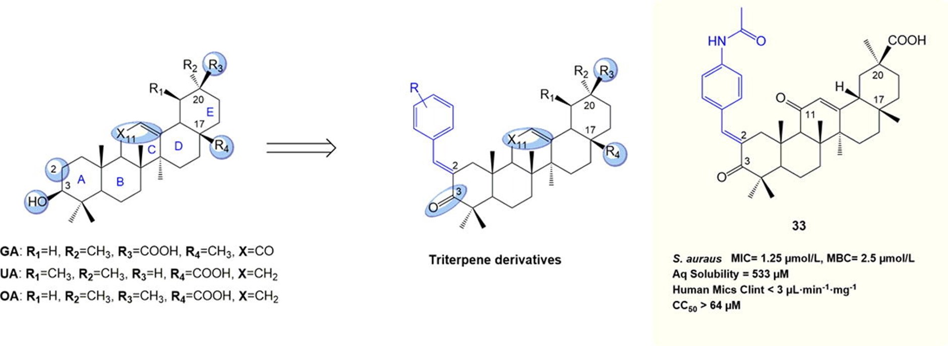 Development of the GA scaffold as antimicrobial agents