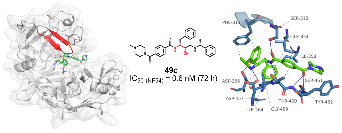 https://www.liverpool.ac.uk/media/livacuk/chemistry/research/medicinalchemistrygroup/plasmpepsin.jpg