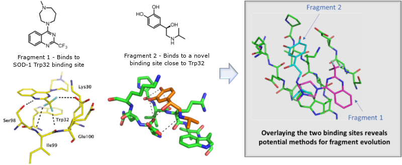 Fragment screening hits and potential for evolution and growth