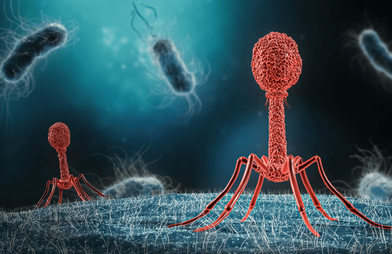 CGI render of microbiome