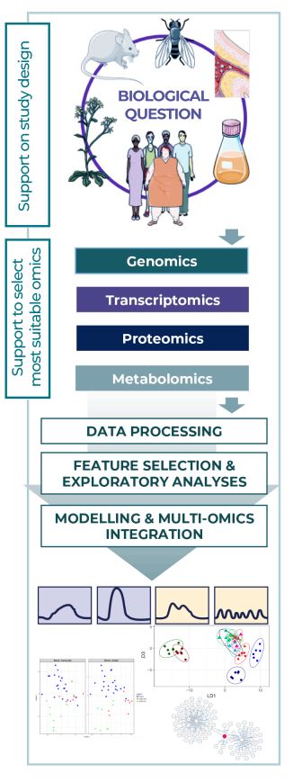 Biomarkers support on study design