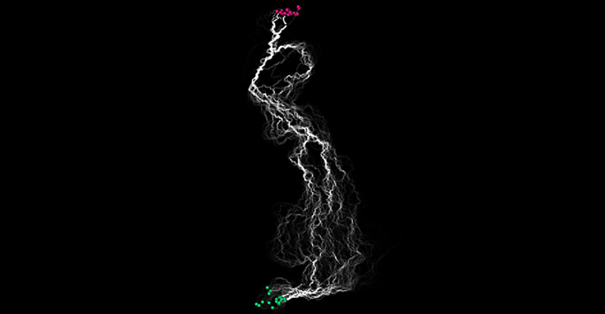 British Grasslands – 2km2 cells. Connectivity pathways from source (green) to target (red) 