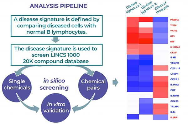 Heatmap showing the result of the in silico screening for a drug pair