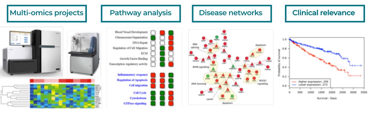Networks diagram showing multi-omics projects, pathway analysis, disease networks and clinical relevance