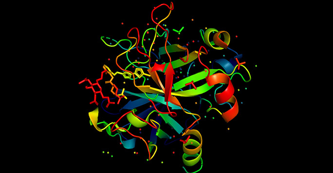 3D drawing of a protein structure