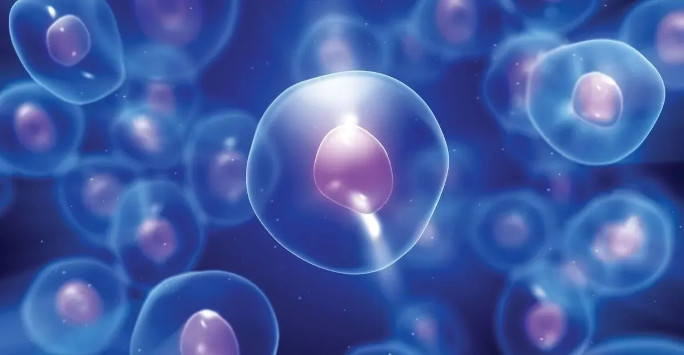 Image of cells on blue background