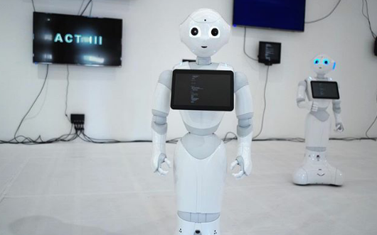 Meet the Robots