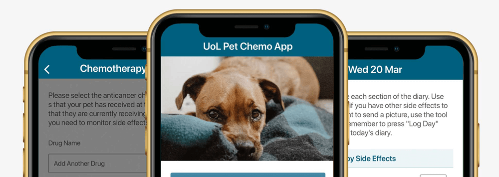 Pet Chemotherapy Mobile App Screens