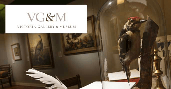 Victoria Gallery Museum