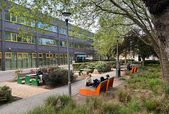 Students using the benches outside the Eleanor Rathbone building