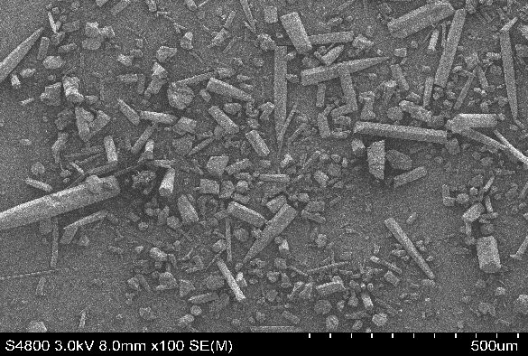 TTBI SEM image