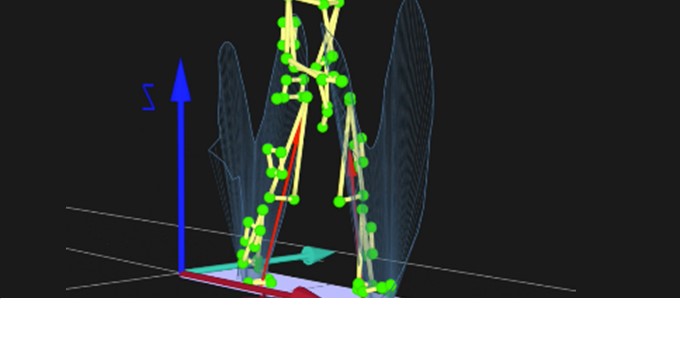 864 X 335 Gait analysis