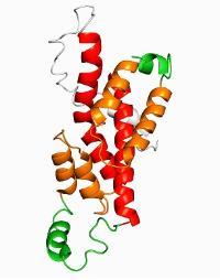 Trem41b Gene