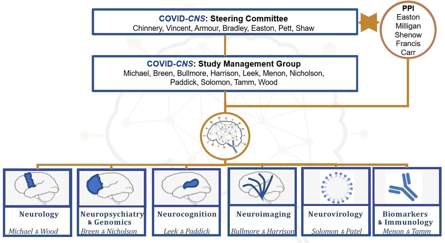 COVID 19 Clinical Neuroscience Study governance structure