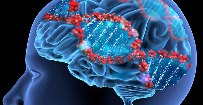 Neuropsychiatry and genomics