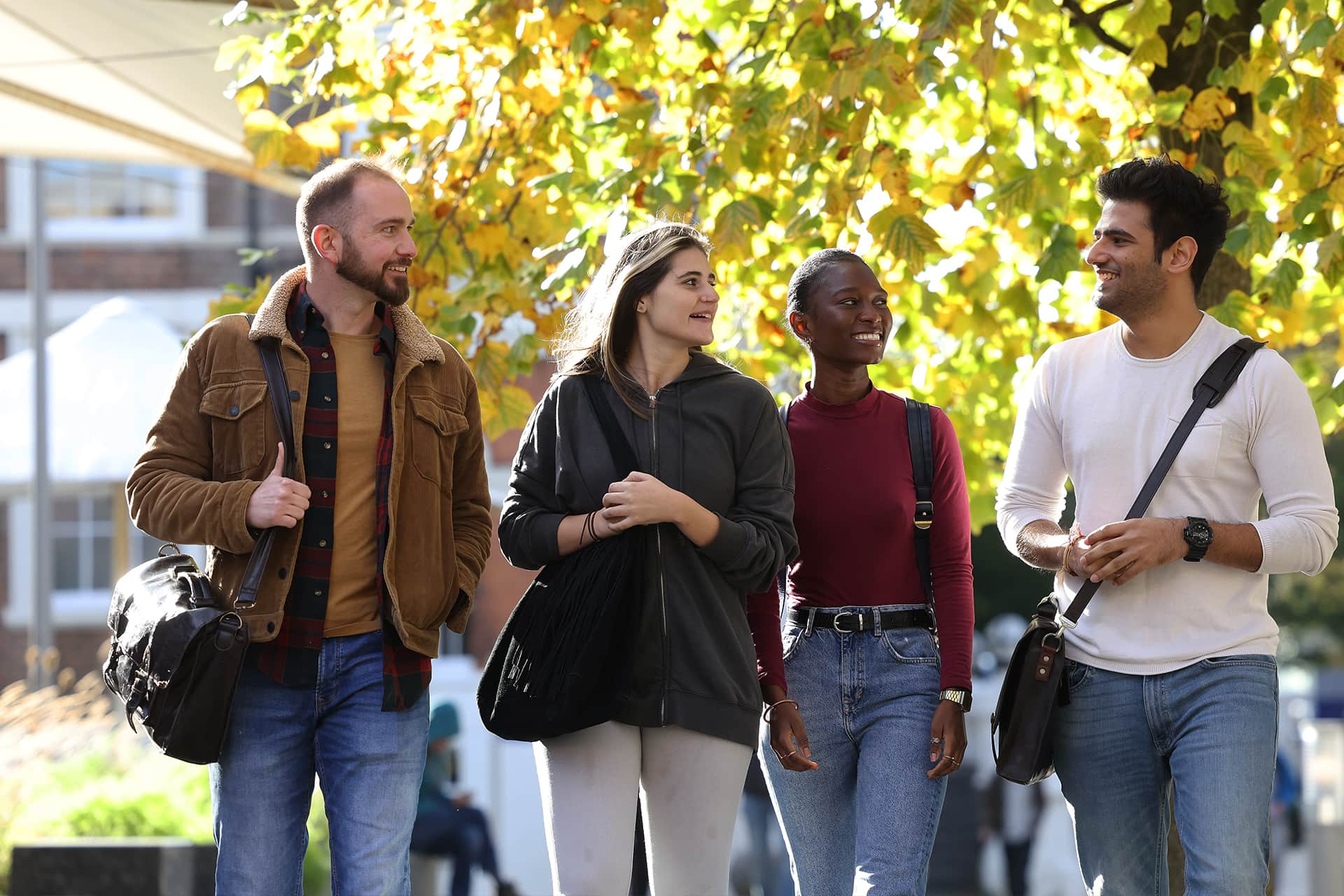 Group of postgraduate students walking by trees on campus