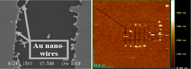 More Moore - Gold Nanowires