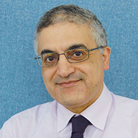 Professor Ahmed Elsheikh