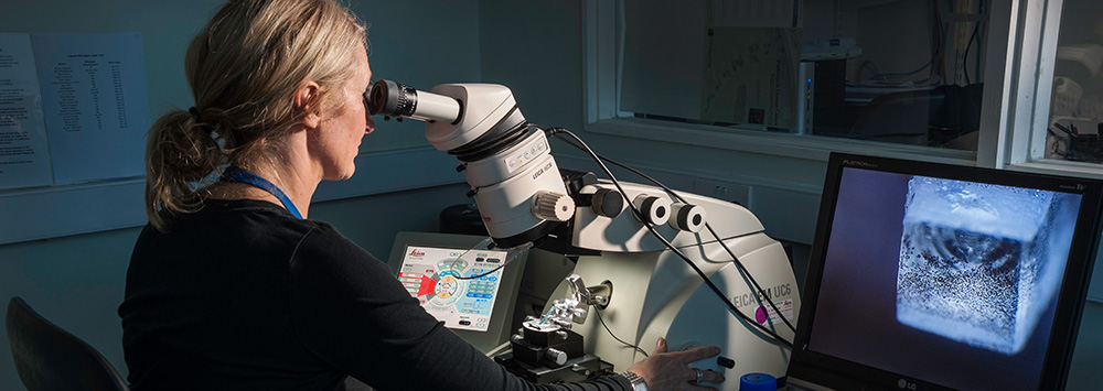 Scientist using an electron microscope in the lab