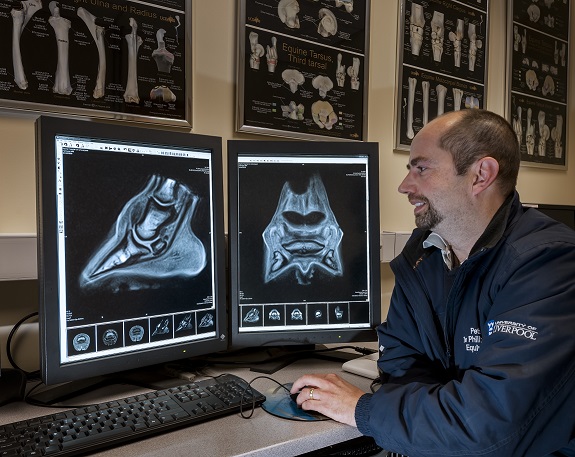 Dr. Ellen Singer discusses digital radiographic images with a client