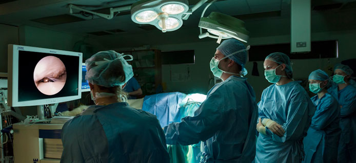 Horse undergoing orthopaedic surgical procedure