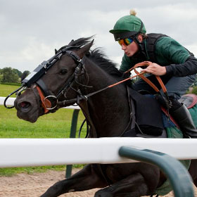 A race horse is ridden and monitored via overland endoscopy