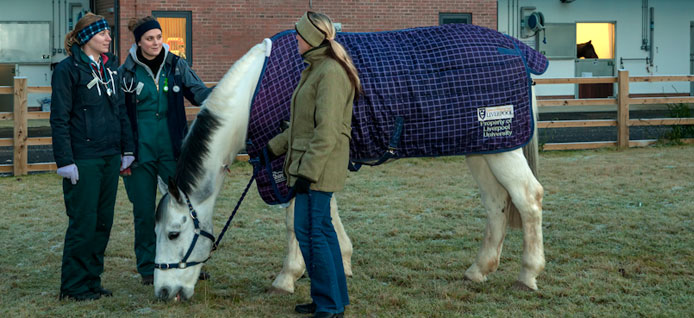 Students talk to horse owner in field alongside horse