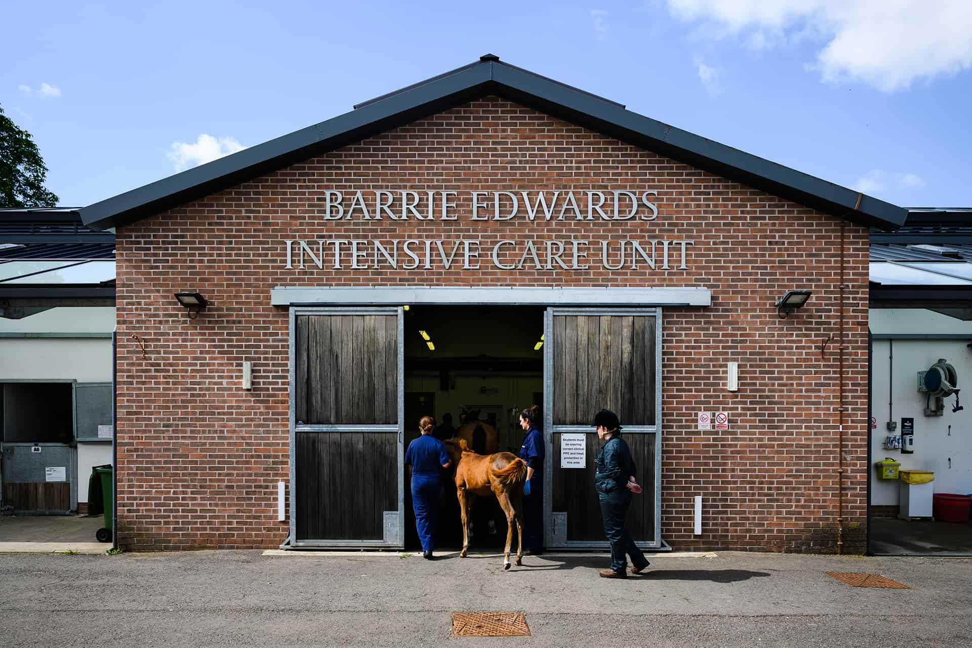 Horse and foal at the intensive care unit (ICU)
