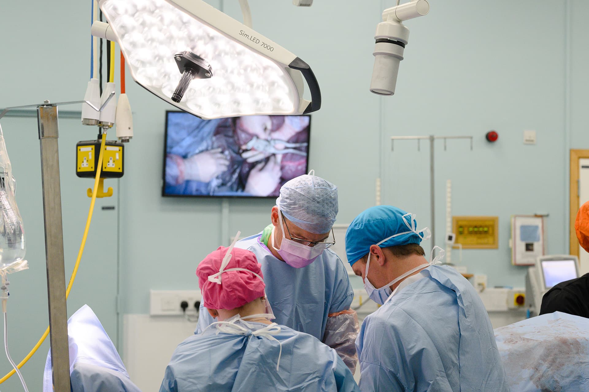 Vets in operating theatre with horse