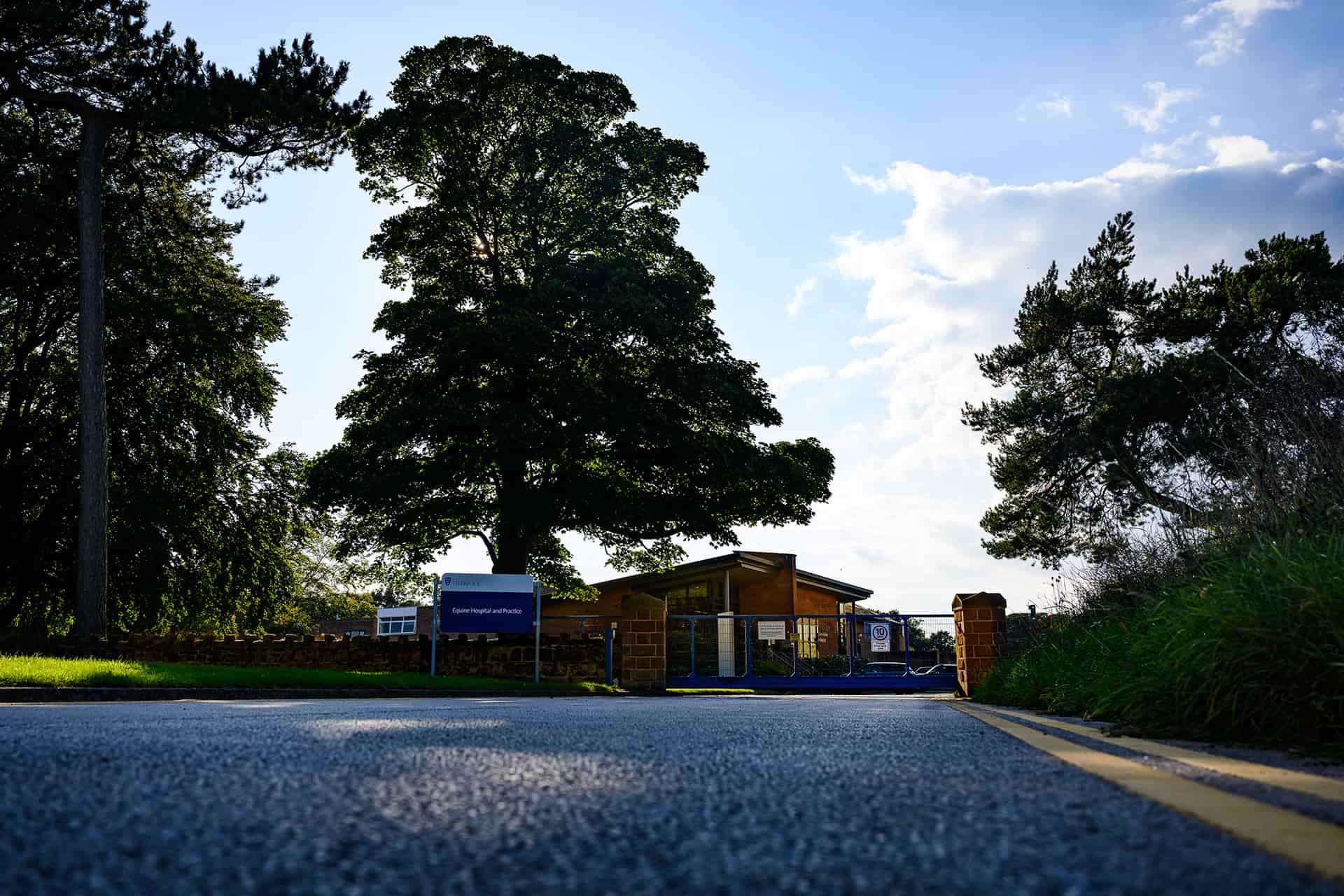 Equine hospital and practice