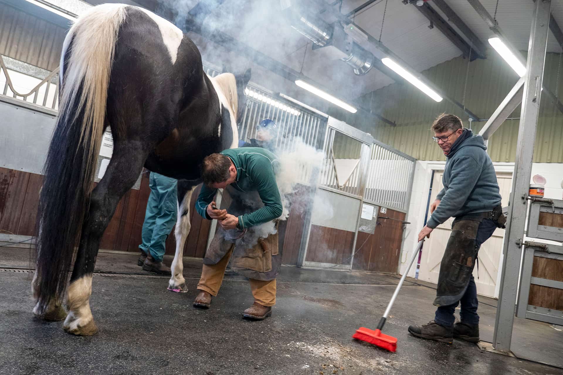 A horse farrier performing equine hoof care