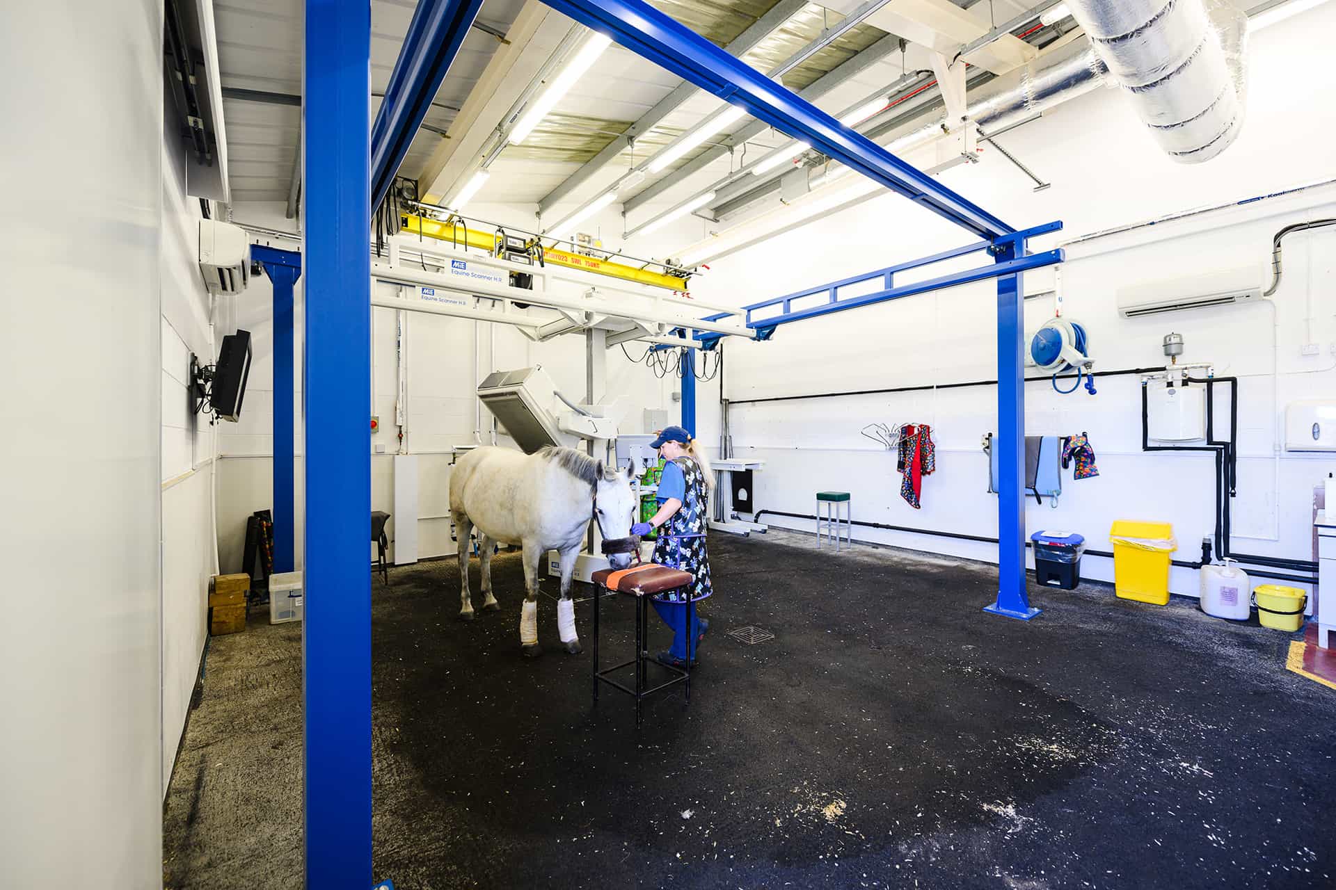 Horse undergoing bone scan in imaging suite