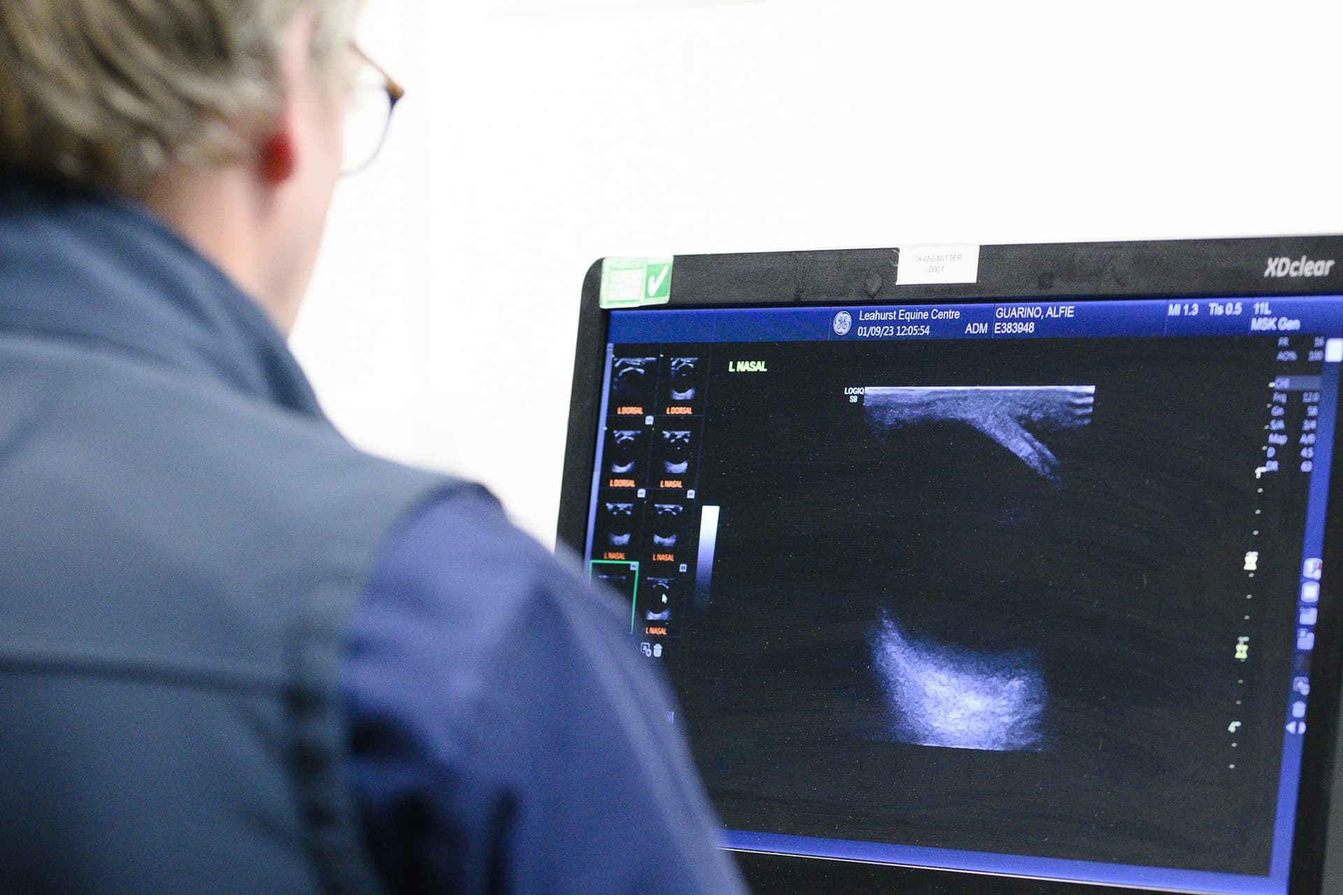 Vet looking at imaging scans of horse