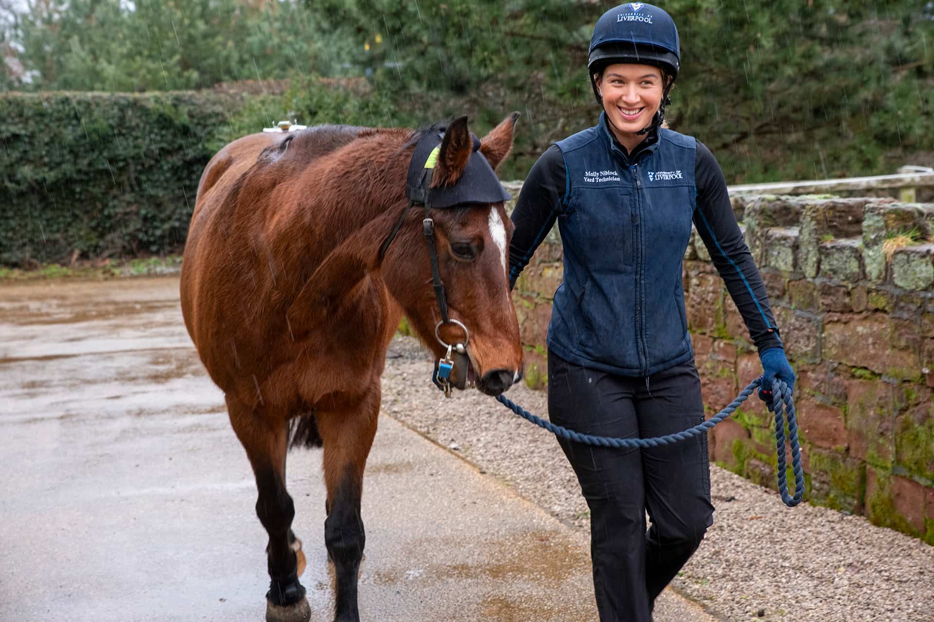 Yard technician walking horse
