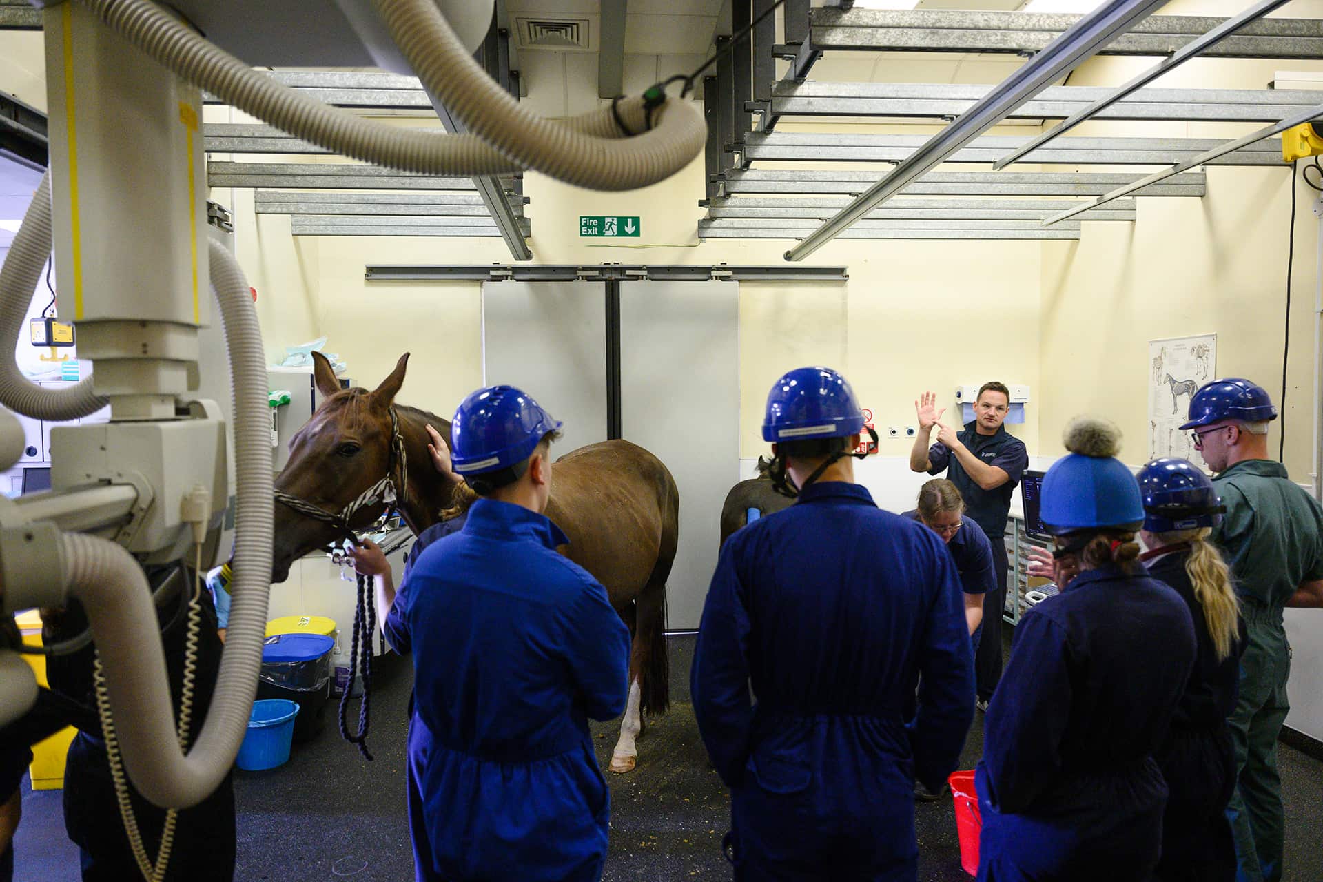 Vet teaching students how to x-ray a horse
