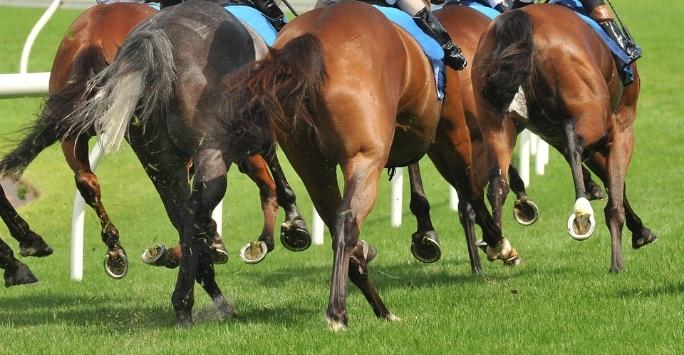 Racehorses galloping away on the track